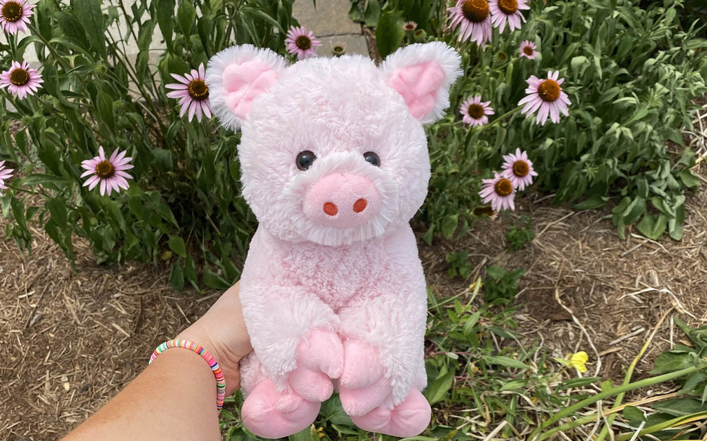 An image of Penny the pig being held outdoors with flowers in the background