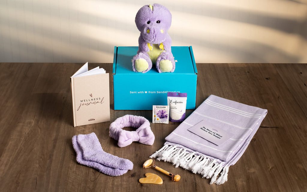 An image of the Deluxe Self Care Bundle with Dexter the Dinosaur sitting on top of a box
