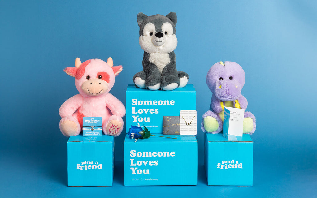 Pictured are three SendAFriend animals sitting on boxes: Sally the Strawberry Cow, Winston the Wolf, and Dexter the Dinosaur. Also in the image is friendship bracelets, a blue rose, a golden hearts necklace, and a note card