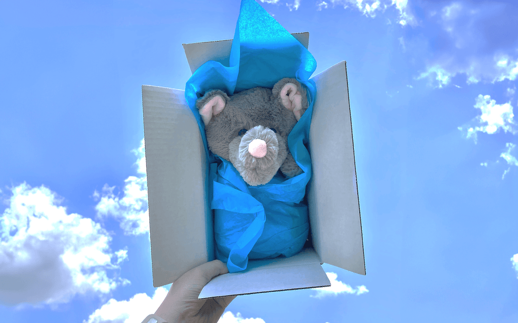 Photo of Eli the Elephant wrapped up in a box with the sky and clouds in the background