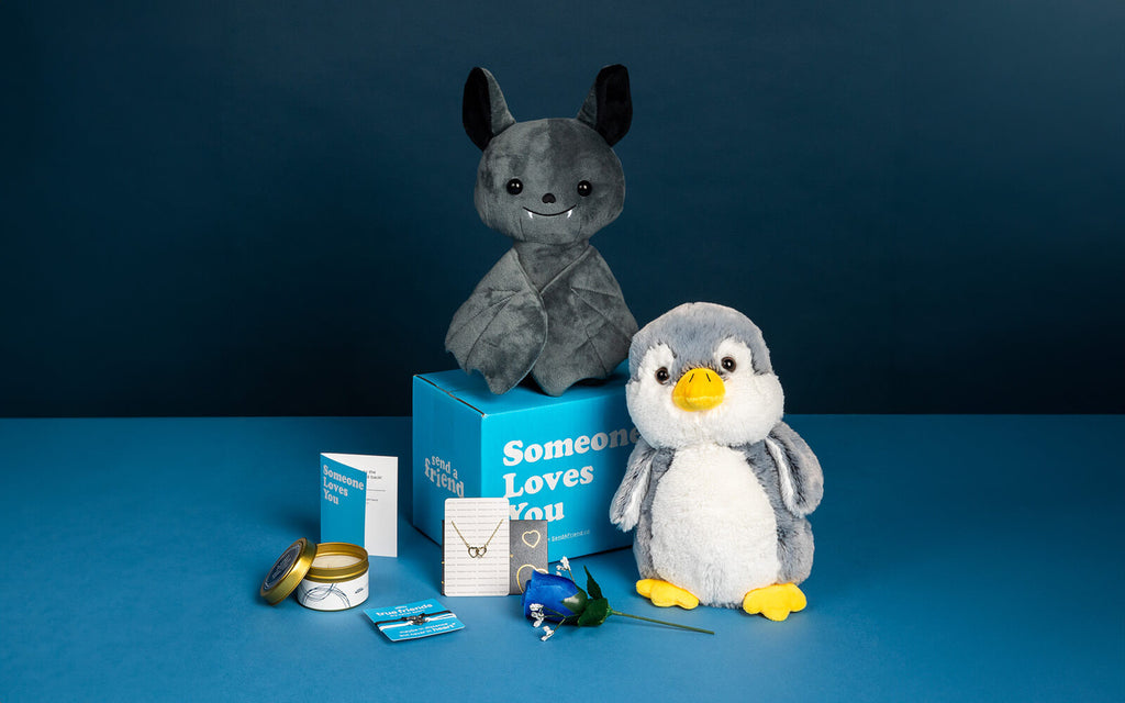 An image of Binks the Bat sitting on the signature blue "Someone Loves You" box with Pepper the Penguin and the following accessories: Golden Hearts Necklace, Blue Rose, Amber Sky Candle, and Friendship Bracelets