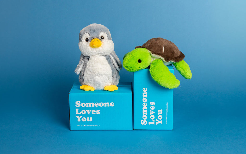 An image of Pepper the Penguin and Tucker the Turtle sitting on signature blue "Someone Loves You" boxes