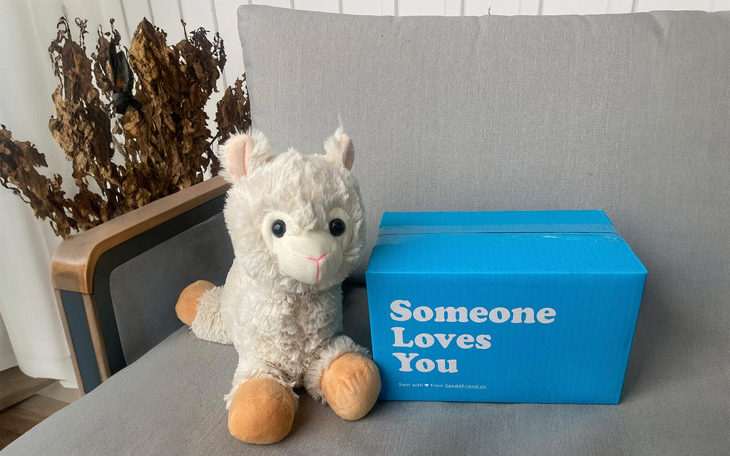 Image of Lawrence the Llama sitting on a chair next to the signature blue "Someone Loves You" box