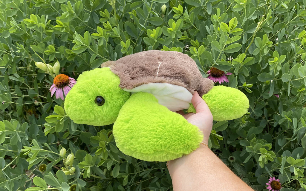 Image of a hand holding Tucker the Turtle in front of a bush and some flowers