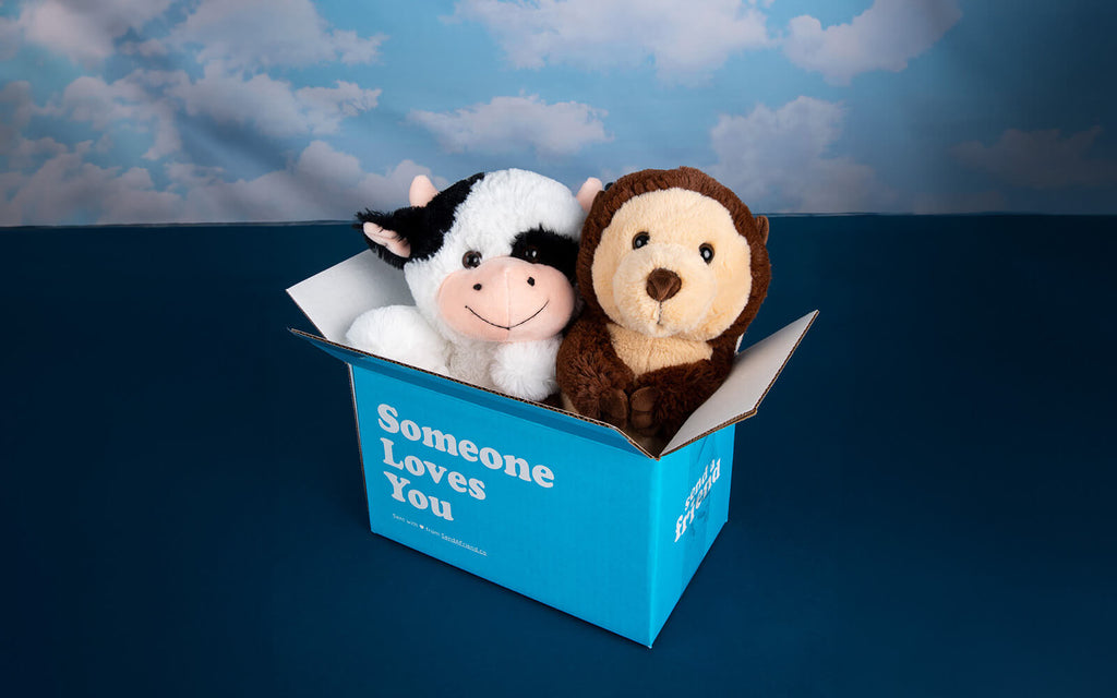 Photo of Cooper the Cow and Oliver the Otter in a Someone Loves You box