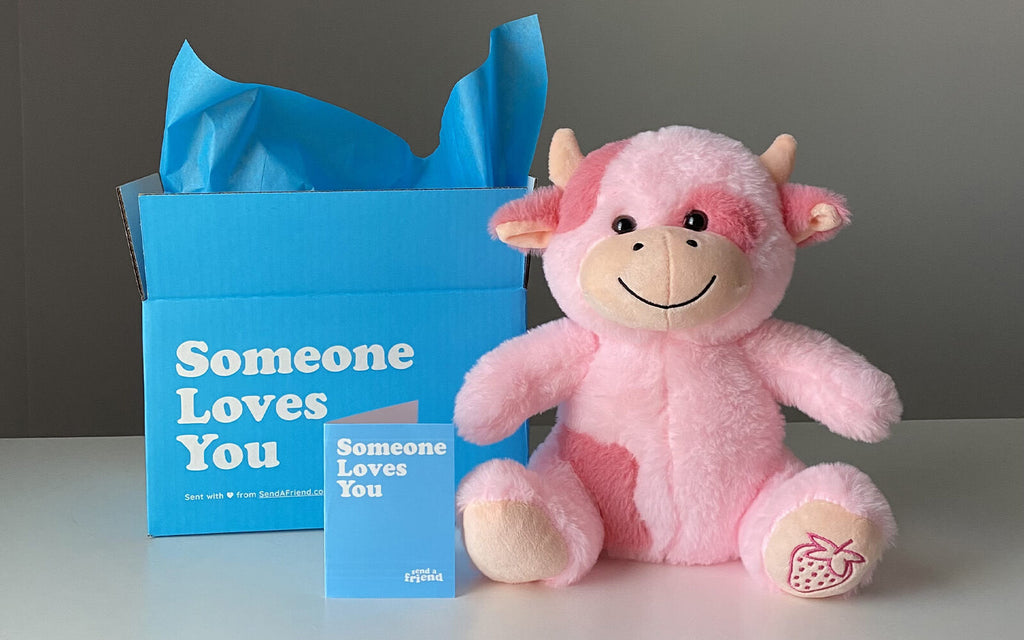 Pictured is Sally the Strawberry Cow next to an open Someone Loves You box and note card
