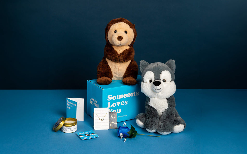 Photo of Oliver the Otter sitting on top of a Someone Loves You box, Winston the Wolf sitting beside the box with the following accessories: Note card, Amber Sky candle, Friendship Bracelets, Golden Hearts Necklace, Blue Rose