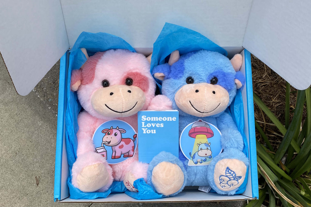 An image of Sally the Strawberry Cow and Beau the Blueberry Cow nestled in a box with their coordinating stickers and the "Someone Loves You" notecard