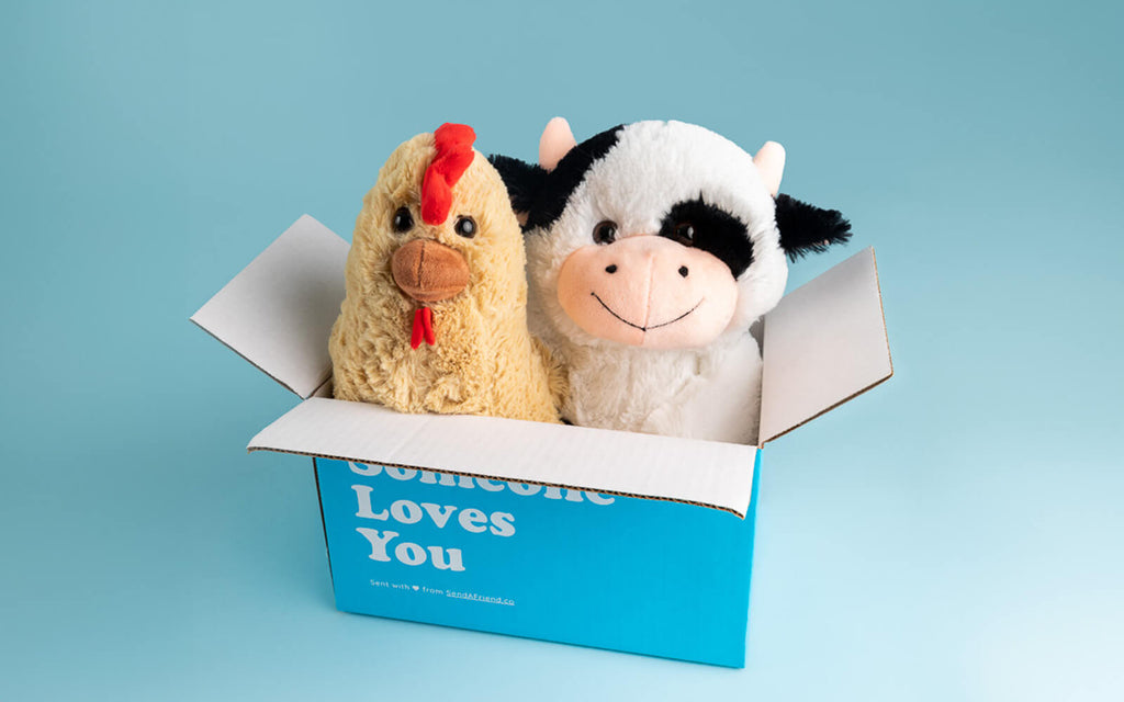 Image of Rowdy the Rooster and Cooper the Cow sitting in the signature blue "Someone Loves You" box