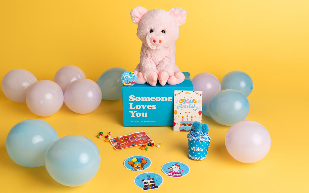 Pictured is Penny the Pig sitting on the signature blue "Someone Loves You" box surrounded by balloons and SendAFriend's Birthday Bundle 