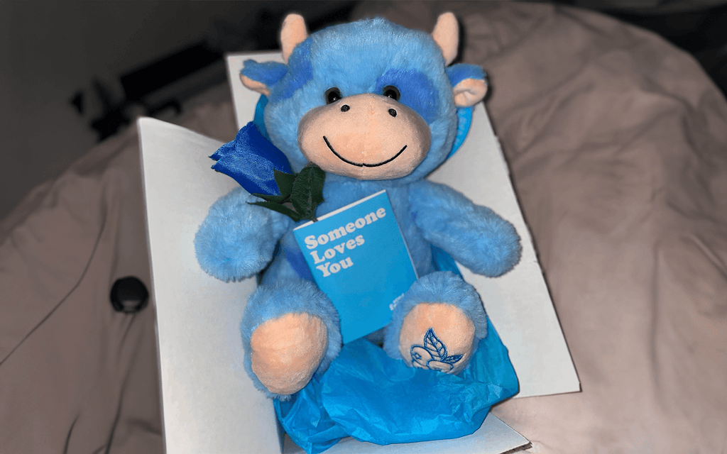 Photo of Beau the Blueberry cow with a note card and blue rose