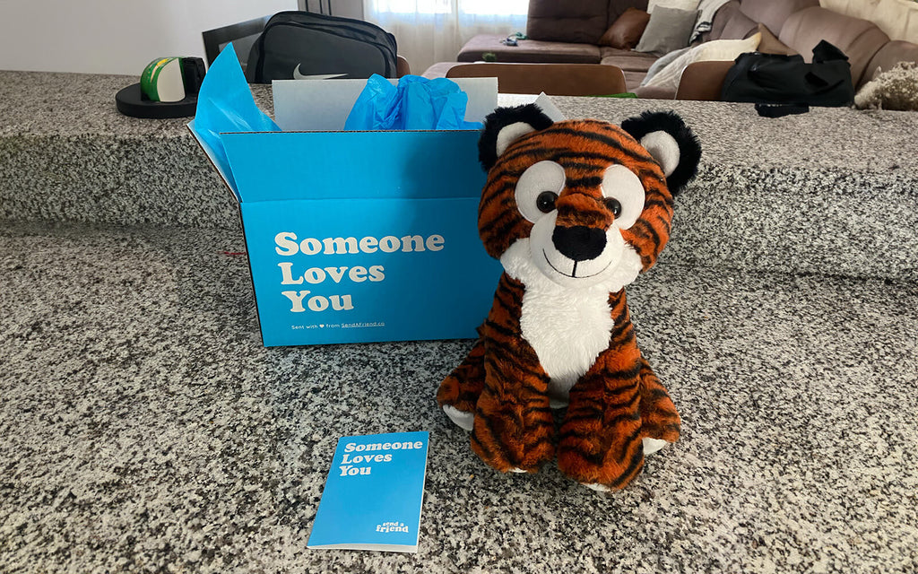 Photo of Tilly the Tiger sitting beside open Someone Loves You box and note card