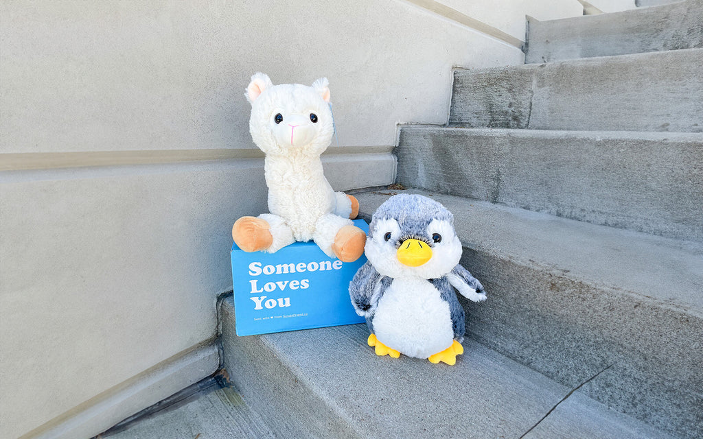 An image of Lawrence the Llama sitting on the signature "Someone Loves You" box next to fluffy friend, Pepper the Penguin 