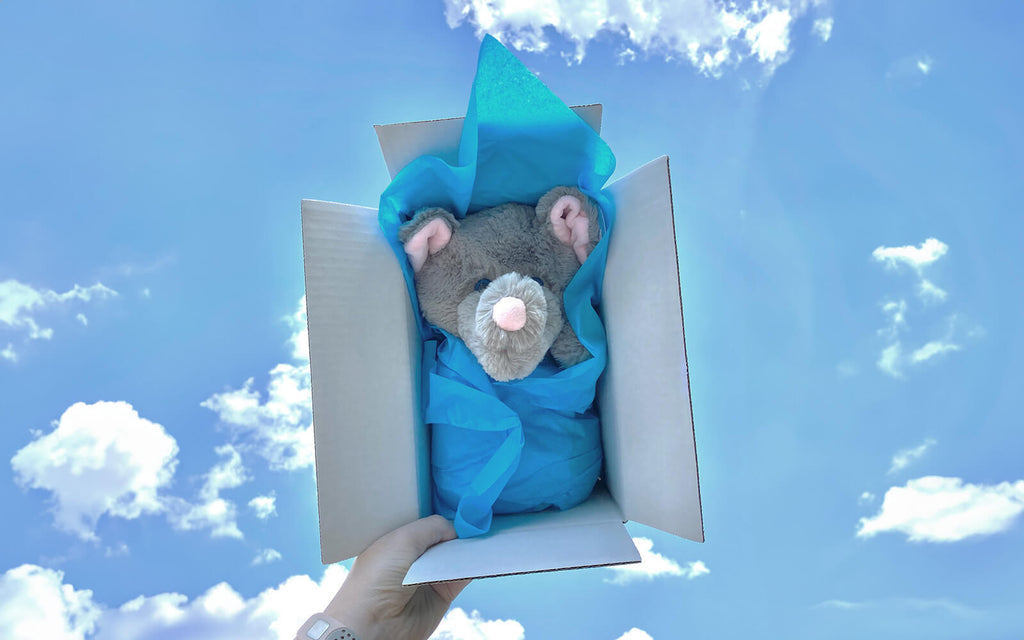 Pictured is SendAFriends Eli the Elephant care package held up with the blue sky and clouds in the background