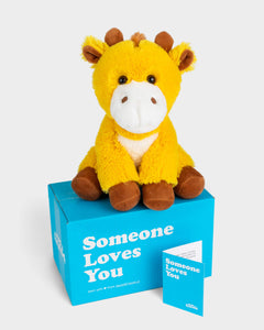 someone loves you box stuffed animal