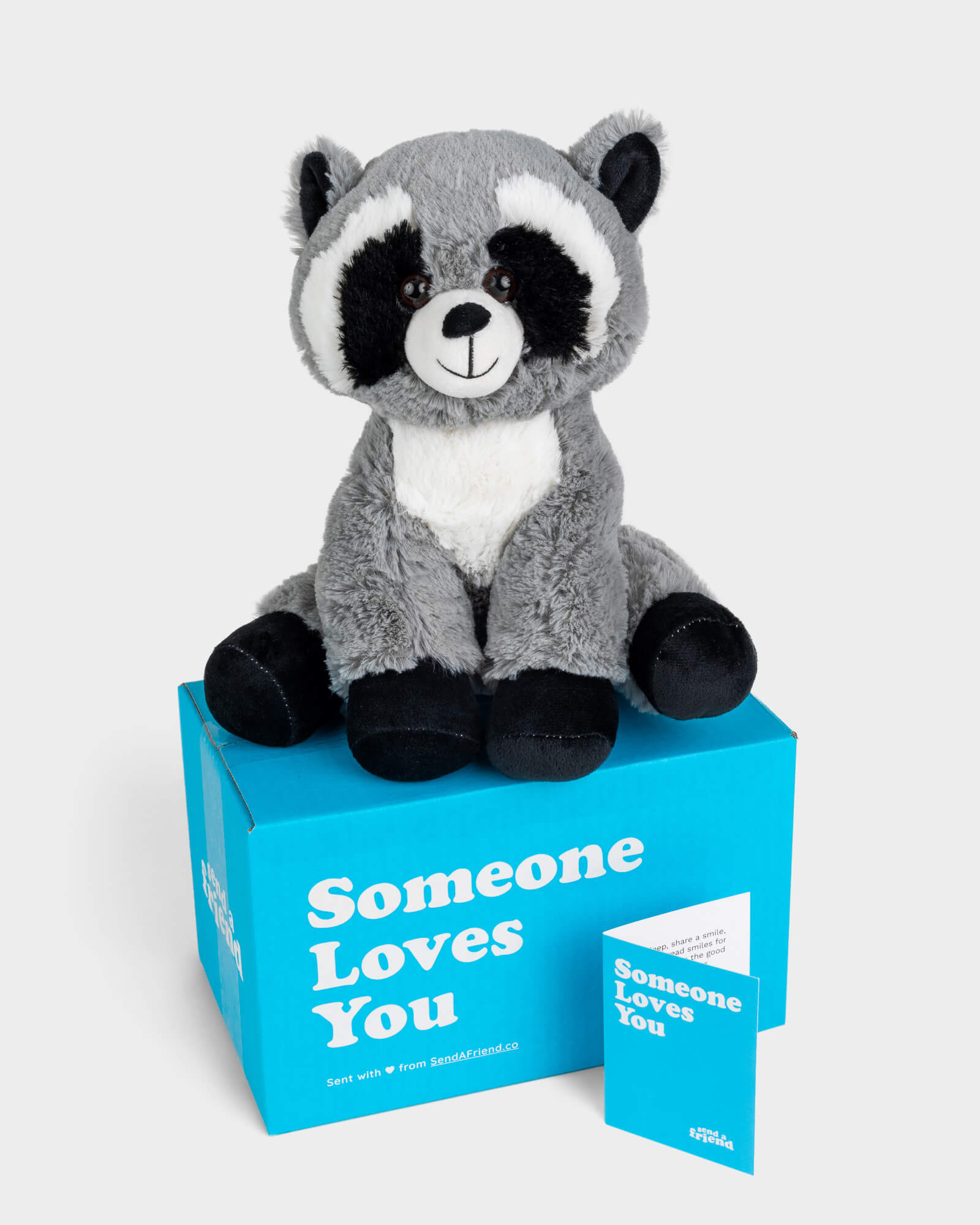 send a friend a stuffed animal