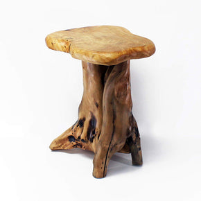 Buy Root Wood Accents Furniture At Best Prices