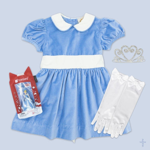 Cinderella Costume