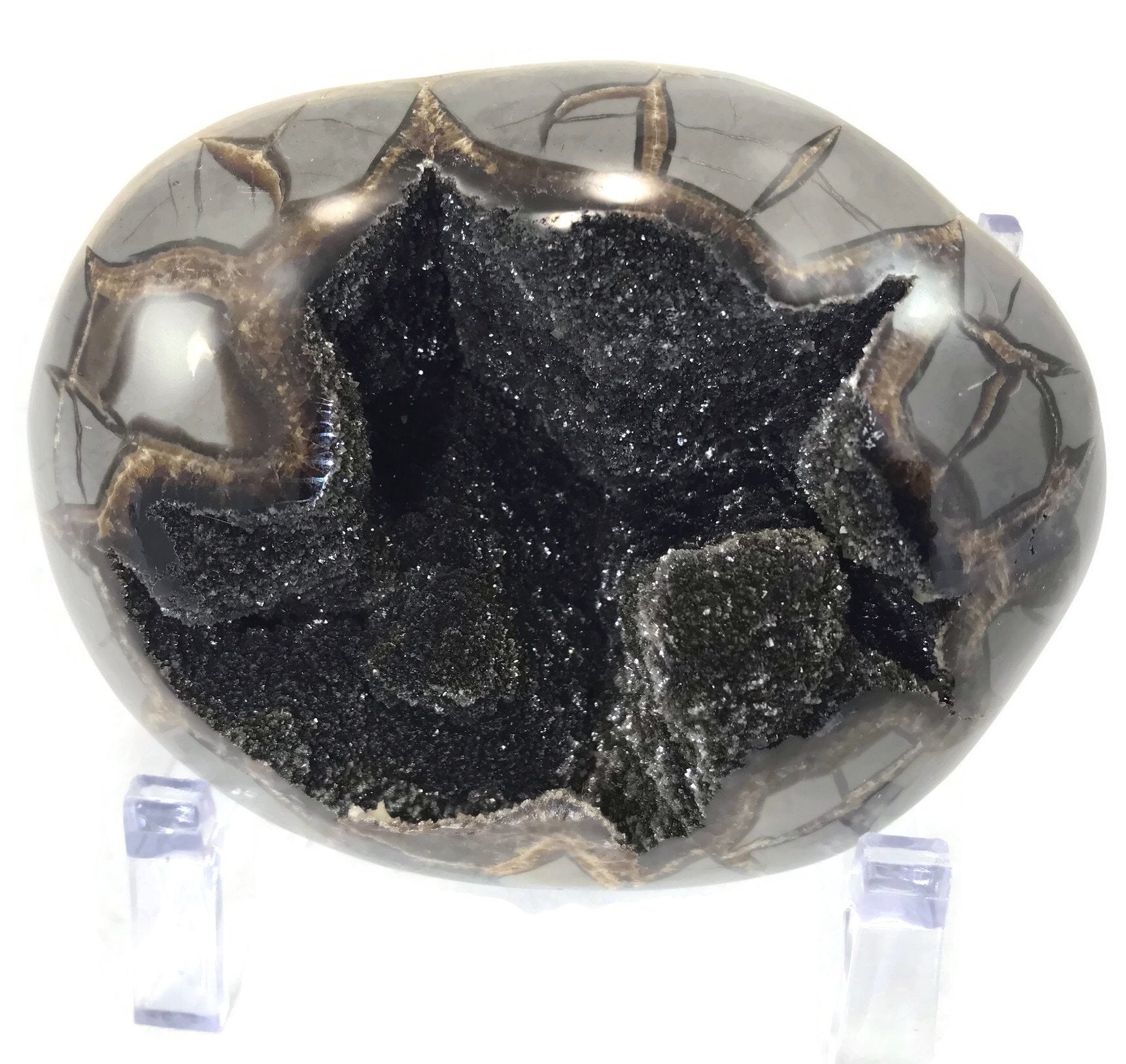 Dark Crystal filled Septarian Nodule – Rockology.net