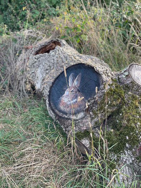 hare log graffiti art malmesbury rabbit hole wood oak 