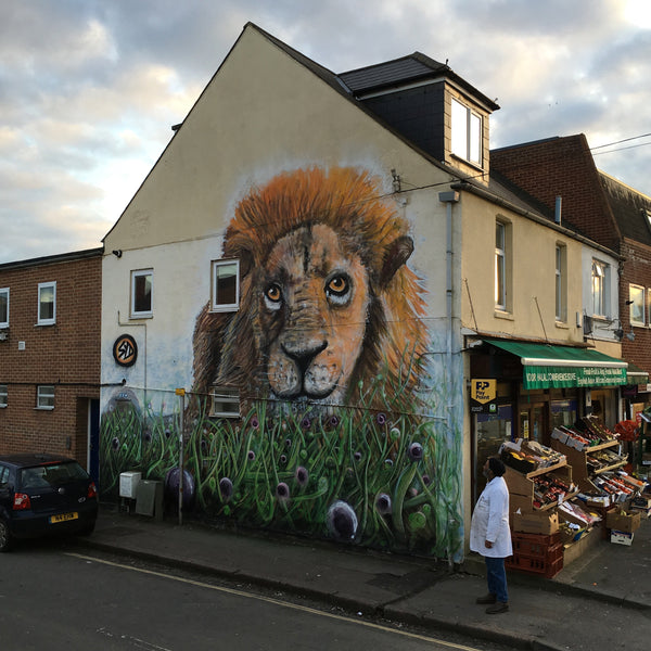 Oxford Lion Street Art Magdalen Road 