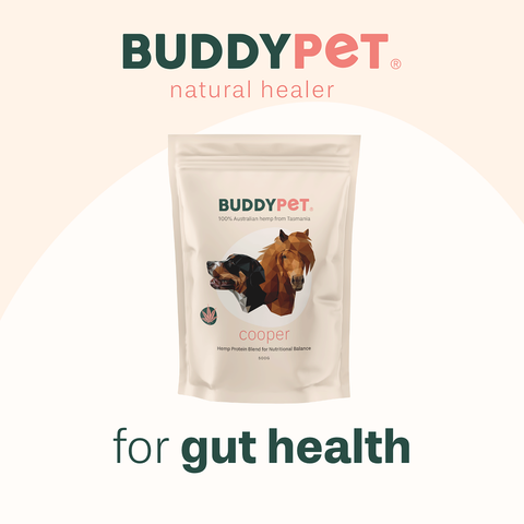 Cooper for gut health