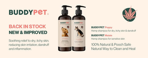 buddypet shampoo products