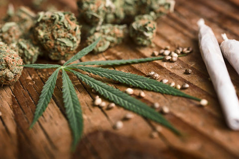 Cannabis buds and seeds