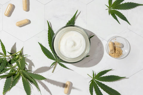 Cream jar and capsules with hemp protein powder near green cannabis leaves