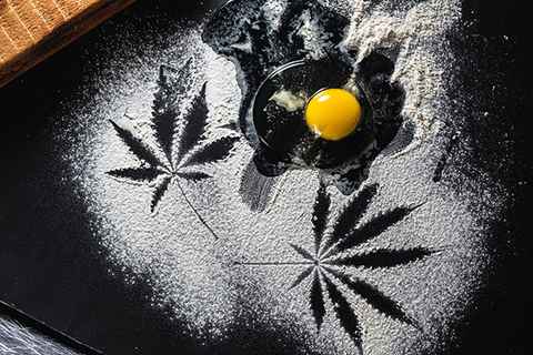 Hemp Shadows in Flour with A Cracked Egg on Table