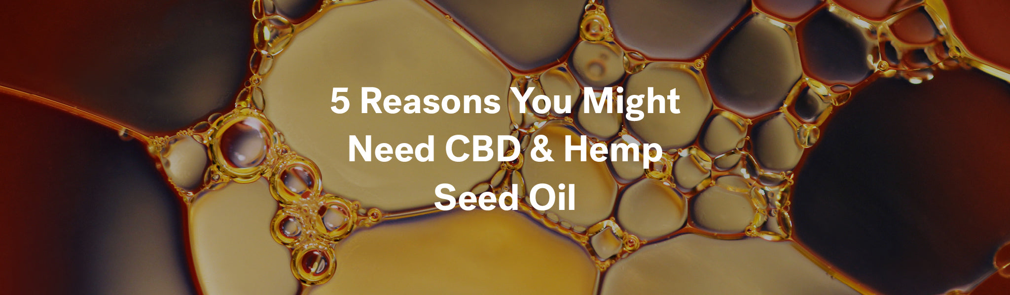 5 Reasons You Might Need CBD & Hemp Seed Oil