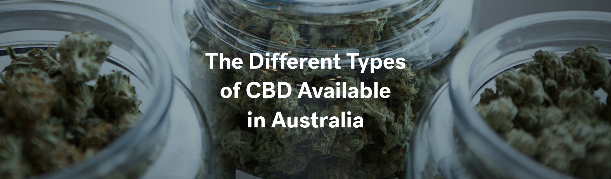 Different Types of CBD in Australia
