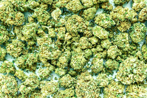 cannabis buds marijuana weed