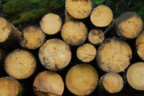 image of chopped wood logs
