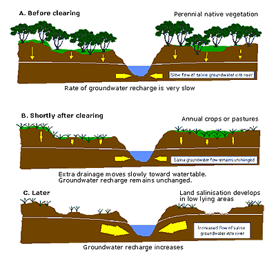 groundwater