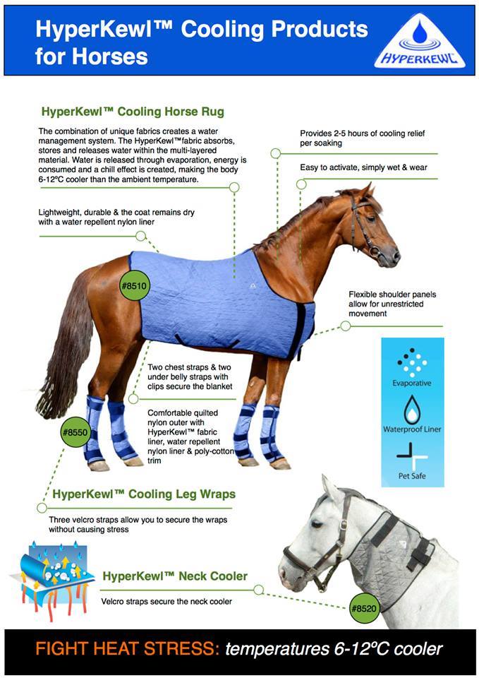 HORSE COOLING COAT BLANKET