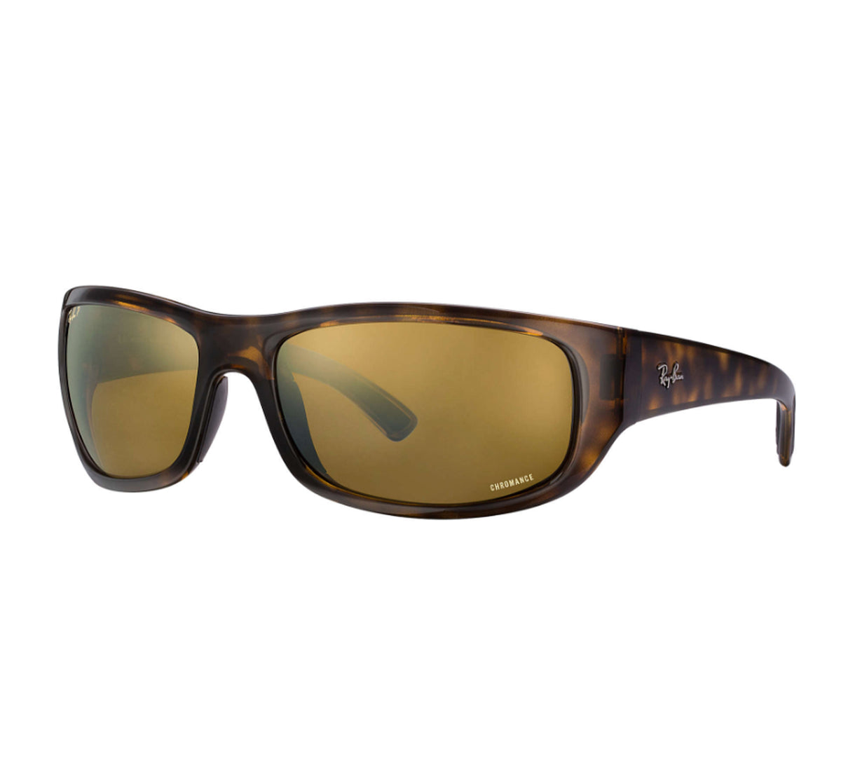 Ray-Ban 4283 Men's Sunglasses 