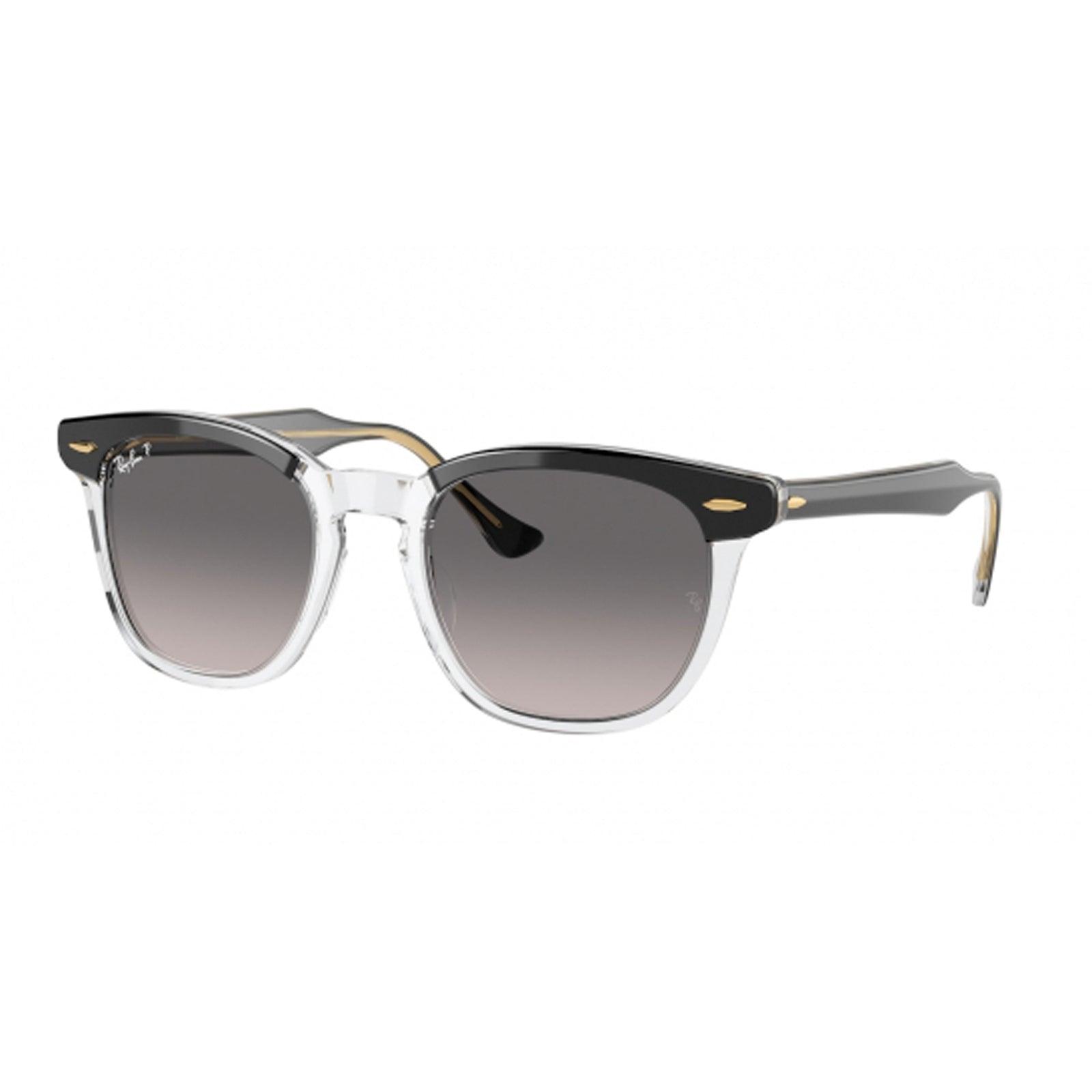 Ray-Ban Sunglasses - Surf Station Store