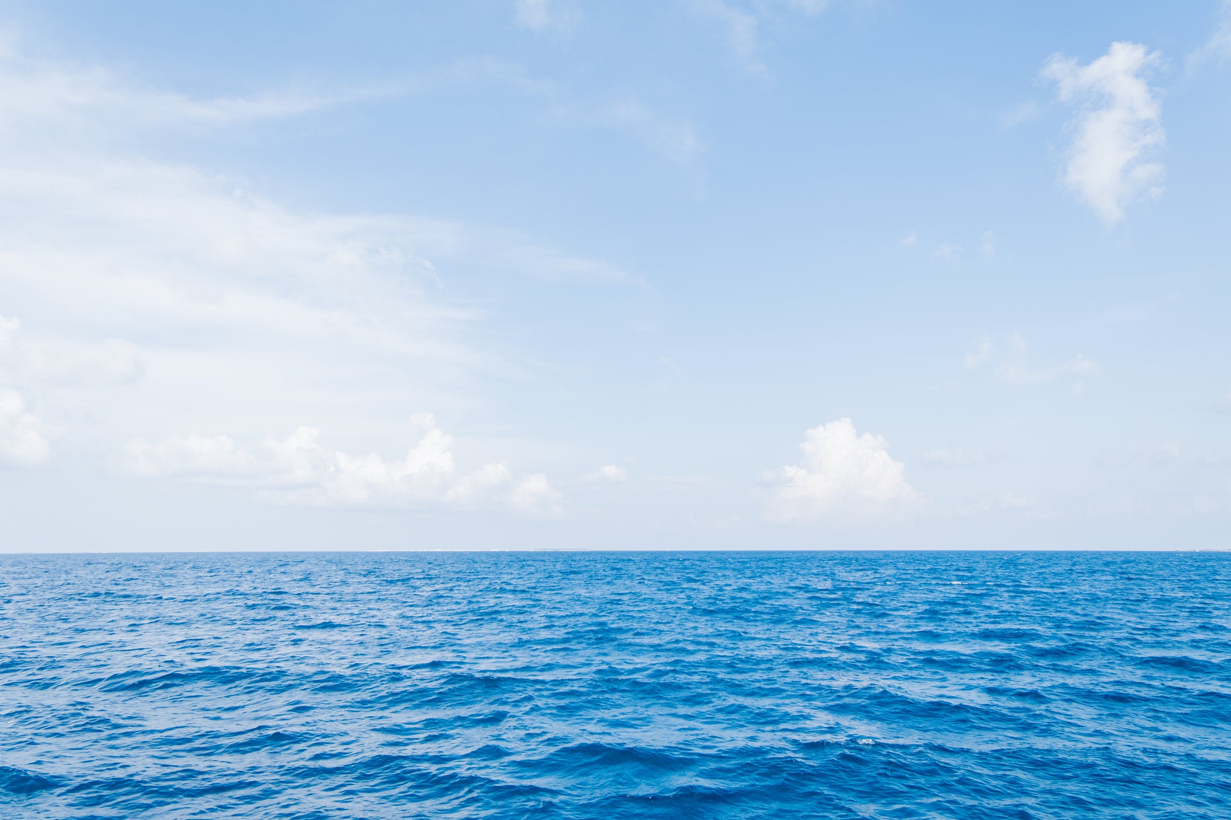 Me sorprendió Reino personalidad Por qué el color del agua del mar cambia en algunos lugares? – SAL ROCHE
