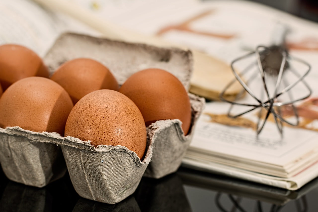 ¿por Qué Las Proteínas Son Tan Importantes Sal Rocheemk 5833