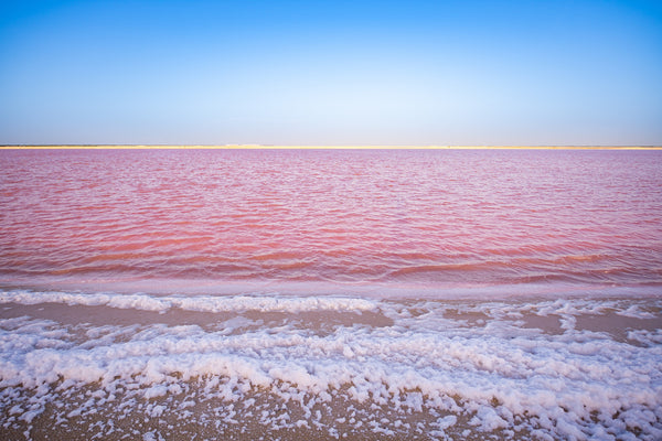 laguna rosa Las Coloradas