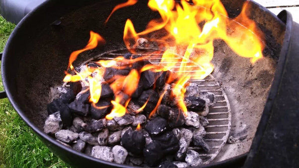 carbón para parrilla