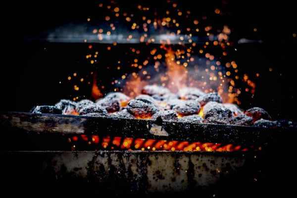 briquetas encendidas en parrilla