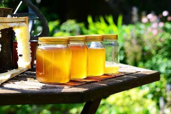 recolección de la miel en una colmena
