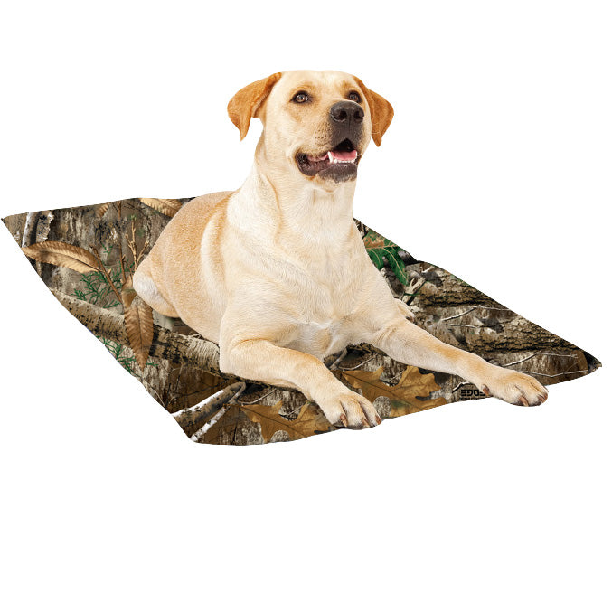 green pet shop dog cooling mat