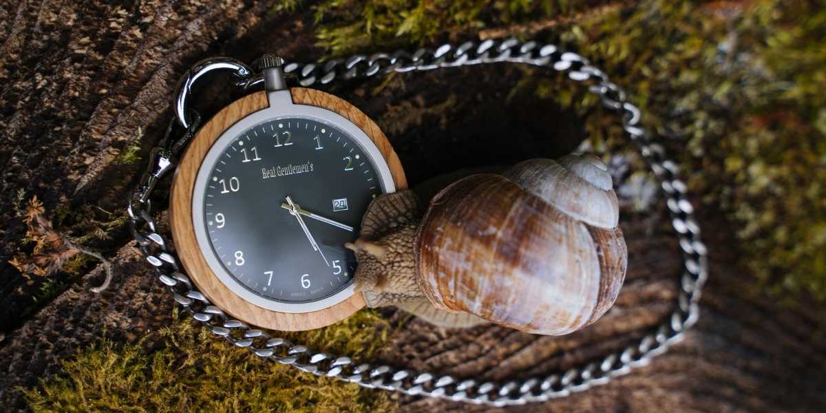 drevené vreckové hodinky
