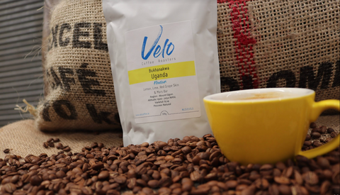 Velo Uganda Coffee