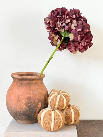 Rustic terracotta pot with seasonal autumn foliage