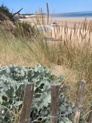 beach at St Clement des Baleines