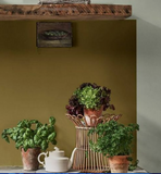 rustic paint colour in a kitchen 